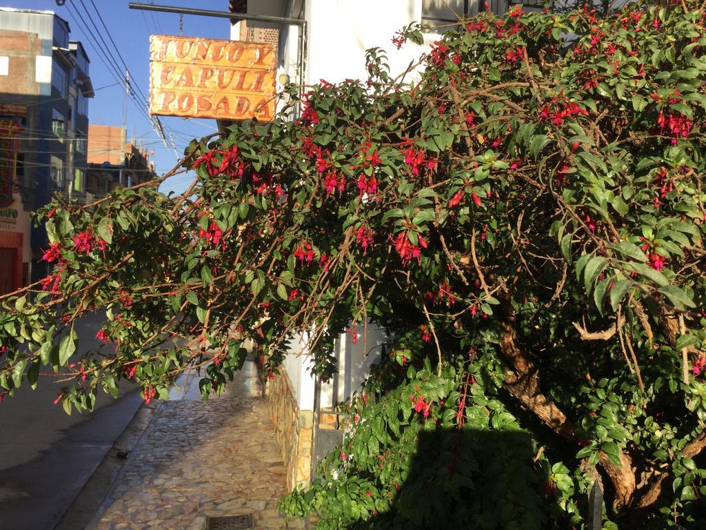 ואנקיו Posada Junco Y Capuli מראה חיצוני תמונה